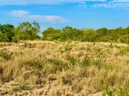 Ranch Property for sale in Live Oak County, Texas