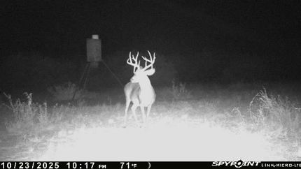 Property for sale in Zavala County, Texas