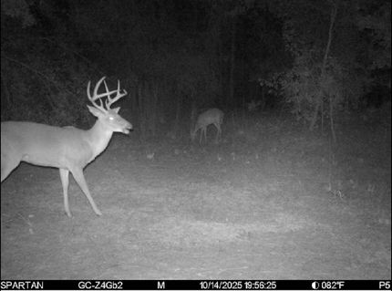 Property for sale in Madison County, Florida