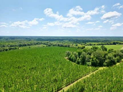 Property in Randolph County, Georgia