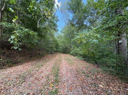 Timberland Property for sale in Cherokee County, Alabama