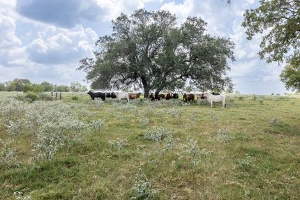Farm Property for sale in Gonzales County, Texas