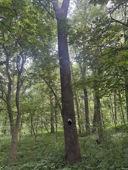 Property for sale in Johnson County, Indiana