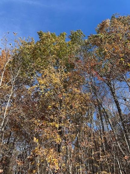 Property for sale in Fentress County, Tennessee