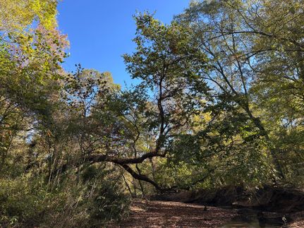 Property for sale in Fairfield County, South Carolina