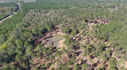 Timberland Property for sale in Jones County, Mississippi