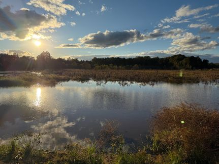 Property for sale in Barbour County, Alabama