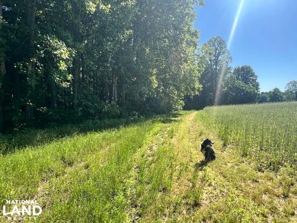 Property in New Kent County, Virginia