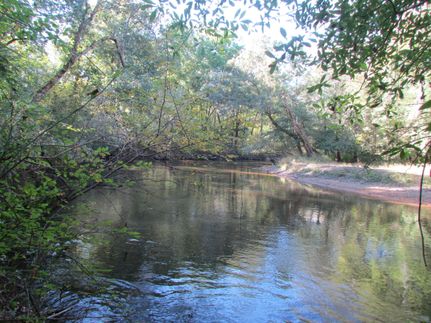 Riverfront Property for sale in Lee County, South Carolina