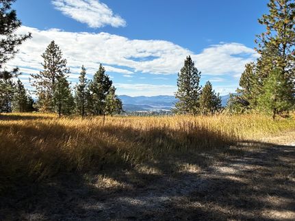 Timberland Property for sale in Stevens County, Washington