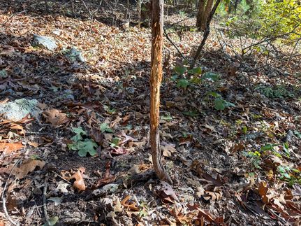 Property for sale in Washington County, Missouri