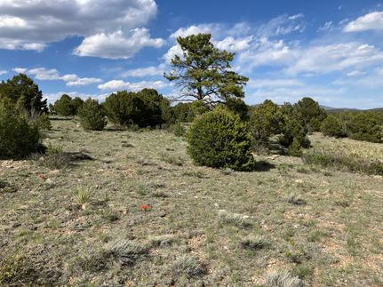 Ranch Property for sale in Custer County, Colorado