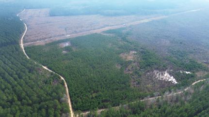 Recreational Property for sale in Screven County, Georgia