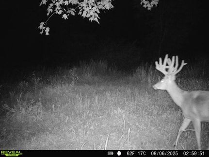 Recreational Property for sale in Jefferson County, Pennsylvania