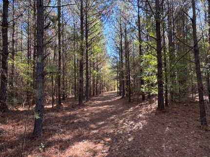 Timberland Property for sale in Macon County, Alabama