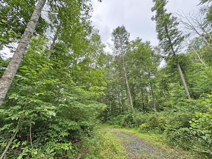 Property for sale in Summers County, West Virginia