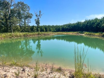 Timberland Property for sale in Polk County, Texas