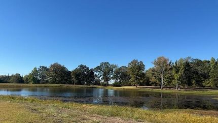 Property for sale in Titus County, Texas