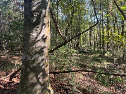 Timberland Property for sale in Jones County, Mississippi