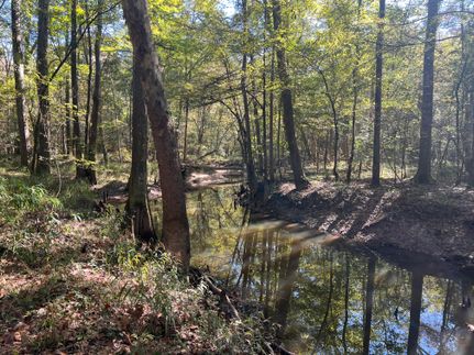 Timberland Property for sale in Jones County, Mississippi