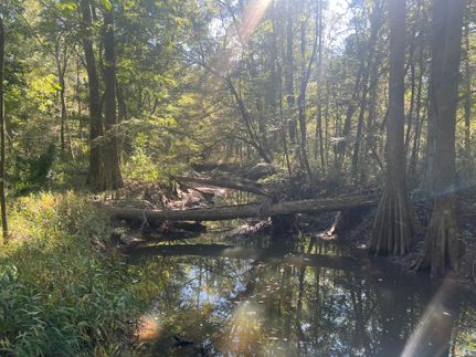 Riverfront Property for sale in Jones County, Mississippi