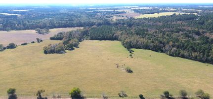 Property for sale in Houston County, Texas