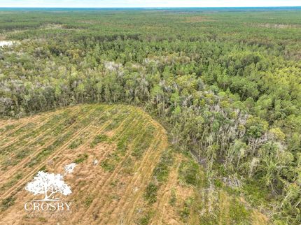 Undeveloped Land for sale in Atkinson County, Georgia