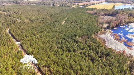 Property for sale in Emanuel County, Georgia