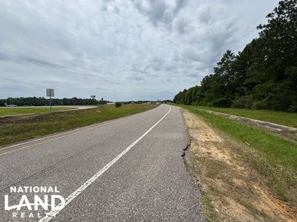 Undeveloped Land for sale in Mobile County, Alabama
