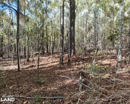 Hunting Land for sale in Tuscaloosa County, Alabama