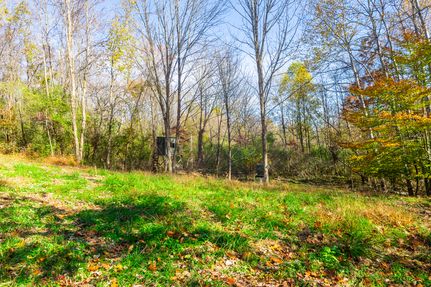 Hunting Land for sale in Coshocton County, Ohio