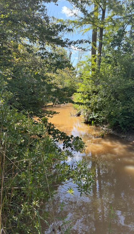 Property in Newton County, Texas