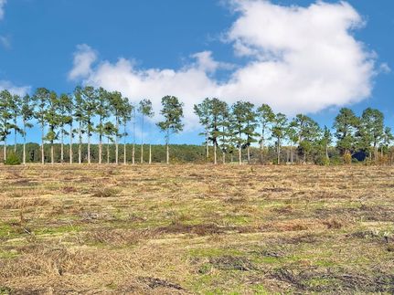 Property for sale in Marlboro County, South Carolina