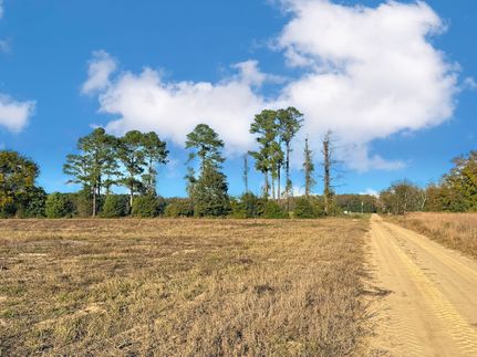 Ranch Property for sale in Marlboro County, South Carolina