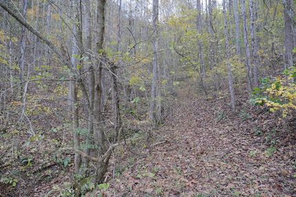 Property for sale in Scott County, Virginia