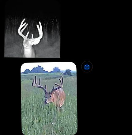 Property for sale in Nemaha County, Nebraska