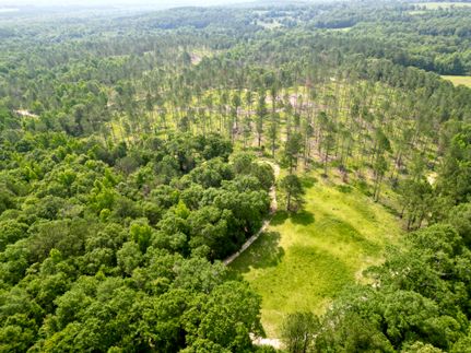 Hunting Land for sale in Pike County, Alabama
