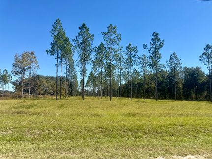 Property for sale in Suwannee County, Florida
