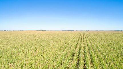 Property in Sac County, Iowa