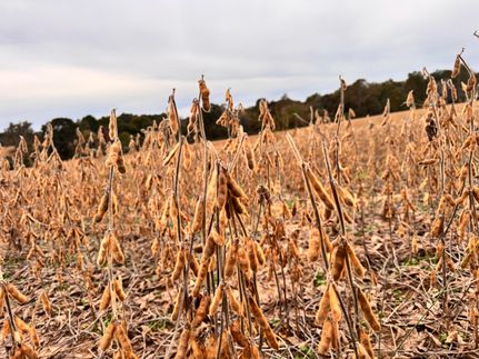 Property for sale in Hardin County, Illinois