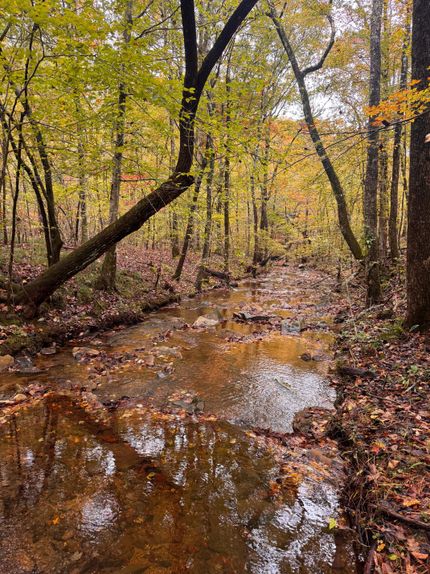 Residential Property for sale in Franklin County, Alabama