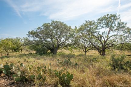 Property for sale in McCulloch County, Texas