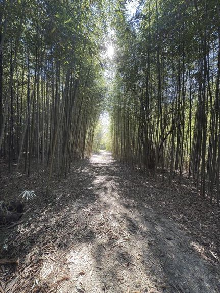 Property for sale in Angelina County, Texas