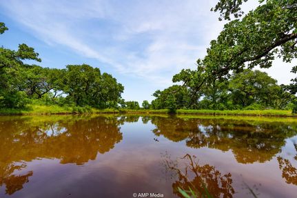 Property for sale in Jack County, Texas