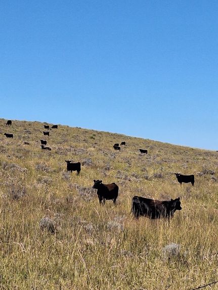 Property for sale in Yuma County, Colorado