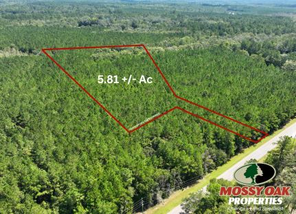 Property for sale in Camden County, Georgia