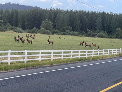 Property for sale in Douglas County, Oregon