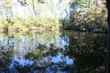 Timberland Property for sale in Sabine County, Texas