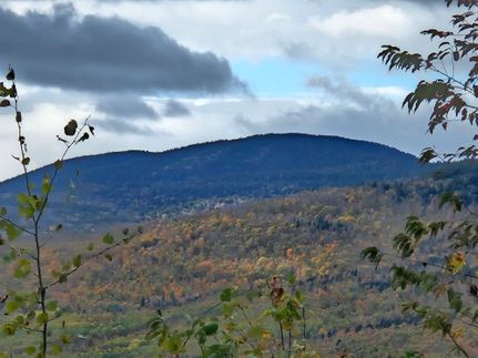 Property for sale in Oxford County, Maine