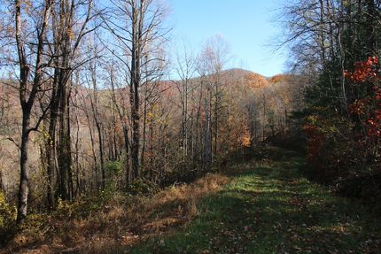 Property for sale in Page County, Virginia